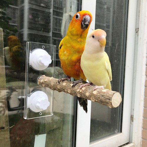 1pcs bird play stand - bird, white
