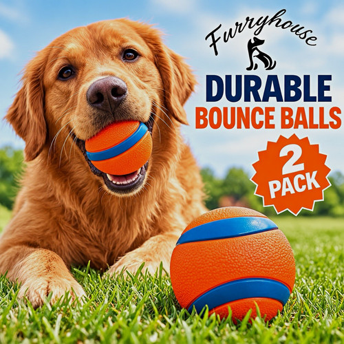Furryhouse durable bouncy dog - durable,