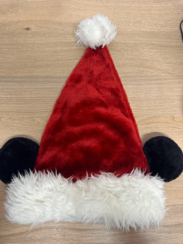 Disneyland resort santa hat - resort,