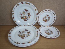 Vintage Arcopal France Dinner