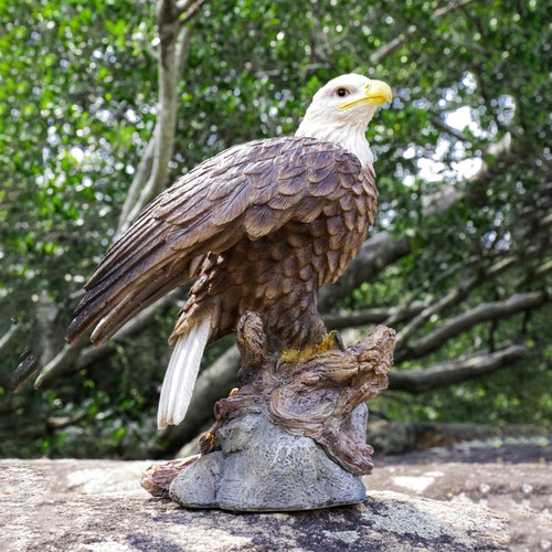 Motion activated singing eagle - activated,