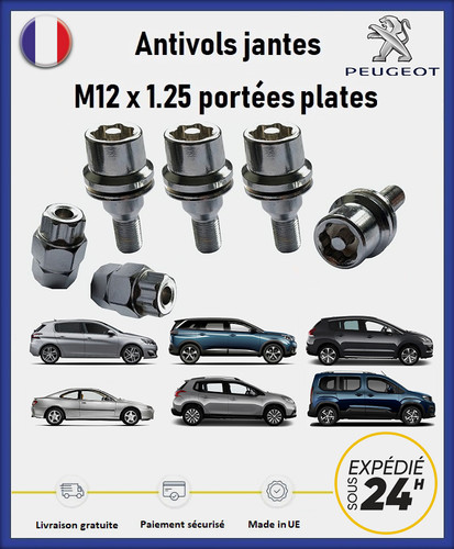 Peugeot wheel lock - peugeot, (4
