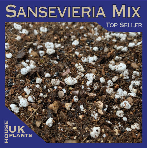 Sansevieria soil mix - soil,