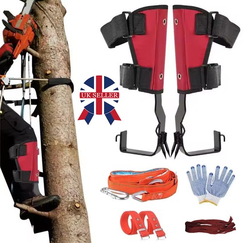Gears safety tree climbing - safety-tree,