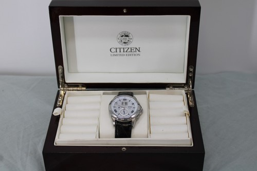 Citizen eco drive - drive, perpetual