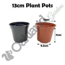 Plant Pots 9cm 10.5cm 13cm up
