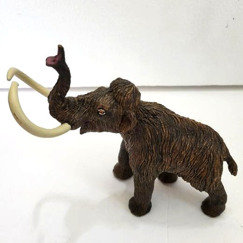 Woolly mammoth wild safari - mammoth,