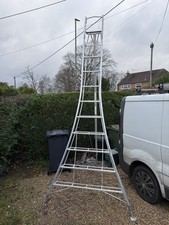3 meter Tripod Ladder (3.5