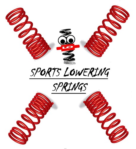 Lowering springs for - lowering,