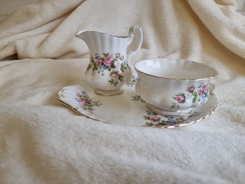 Royal albert moss rose - royal,