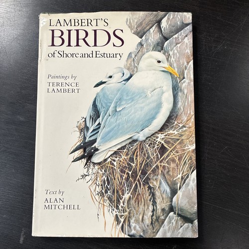 Birds shore and - birds,
