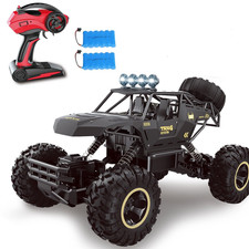 2 Batteries 4WD RC Monster
