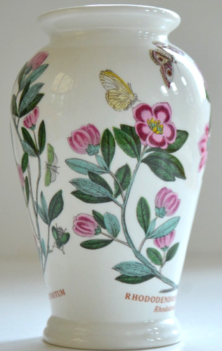 Portmeirion botanic garden - a,
