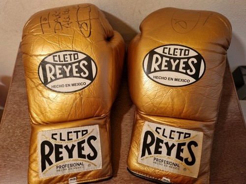 Cleto reyes pro boxing gloves - cleto,