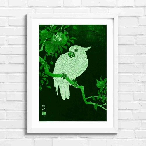 White cockatoo with - white,