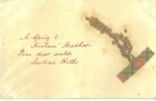 A SPRIG O' HEATHER WITH REAL HEATHER TAPED TO FRONT C1910 CYNICUS PUBLISHING PC