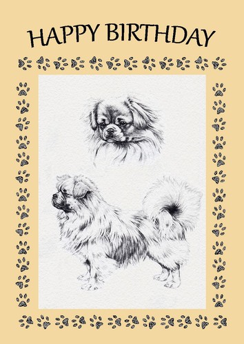 Tibetan spaniel dog - tibetan,
