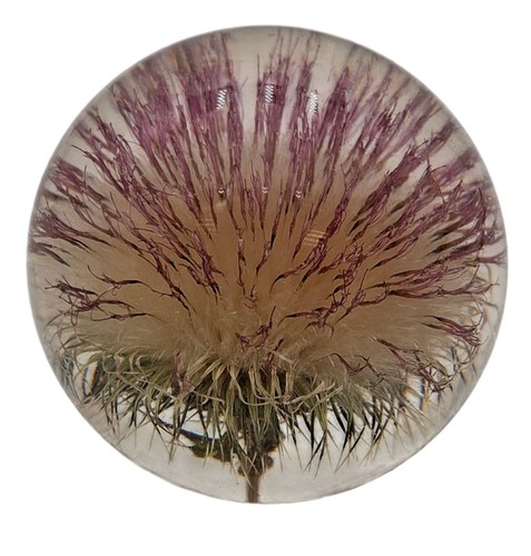 Hafod grange floral - hafod,