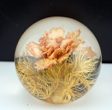 Beautiful Hafod Grange Paperweight ~ 1994