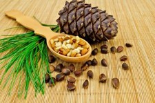 Pinus sibirica seeds, Siberian