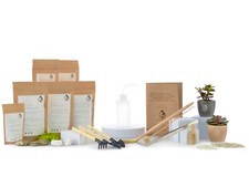 Succulent Terrarium Starter Kit DIY MEDIUM Cactus Desert Fairy Garden