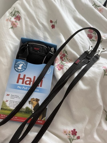Halti pull dog harness - dog,