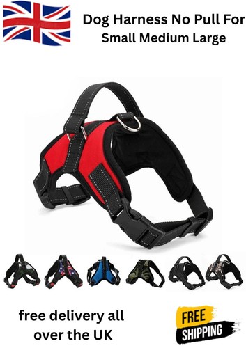 Dog harness pull for - no, small