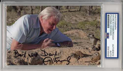 David attenborough signed - david,