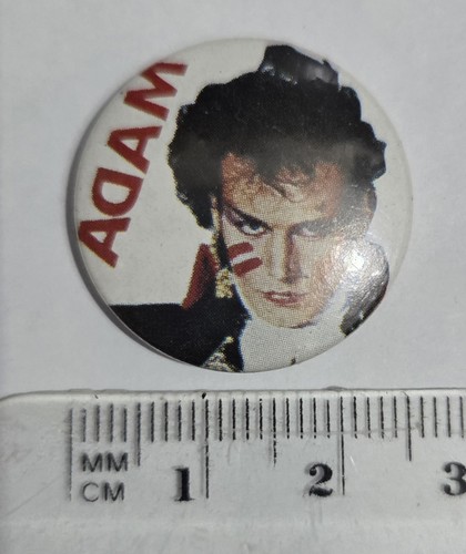 Adam the ants ant - adam,