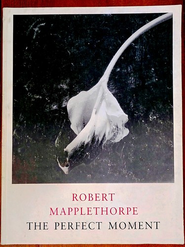 Robert mapplethorpe the - robert, mapplethorpe: