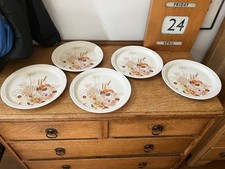 Set  5 Dinner Plates Poole