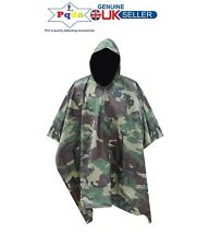 Metal Detector Detecting