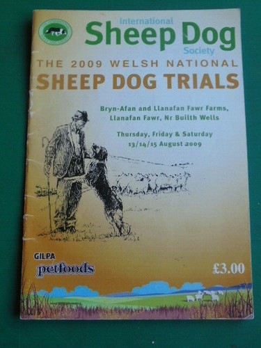 Welsh national sheep - welsh,