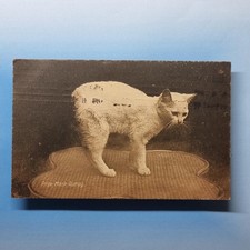 Douglas Postcard 1911 Isle Of