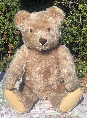 Adorable large old - large, 20"