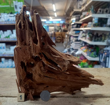Small Natural Bogwood Nano
