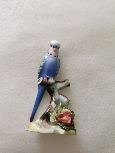 Adderley single budgerigar - budgerigar, &