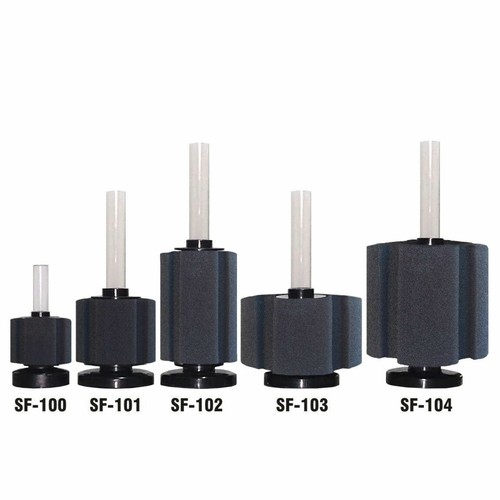 Boyu foam sponge internal - sf,