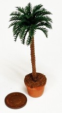 Dolls House Small Palm Tree In