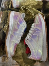 Nike Concepts x Dunk Pro SB