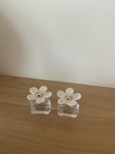 Daisy empty miniature - daisy,
