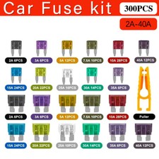 300pcs Standard Auto Car Blade