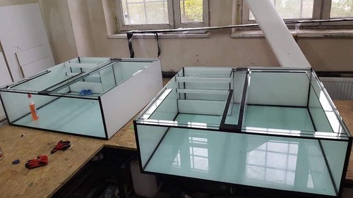 Custom order marine tropical - marine,,