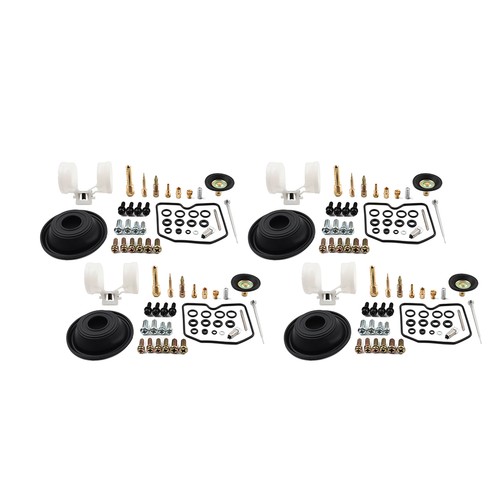 Carburetor repair kit - repair,