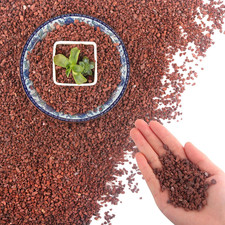 45Lb Lava Rock for Succulents