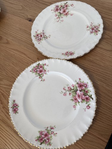 Cream petal grindley - cream,