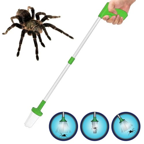 Spider catcher pest trap - spider, long