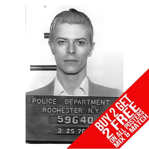 David bowie bb8 mugshot - bb8,