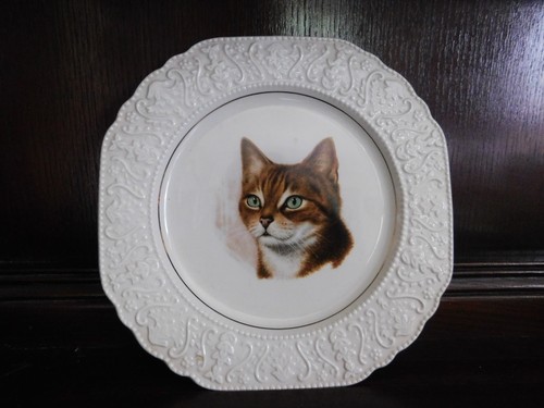 Beautiful vintage cat - a,
