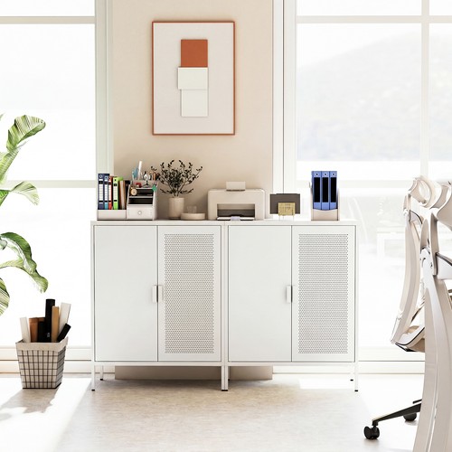 Metal storage cabinet - storage, 2